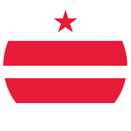 Washington DC Flag