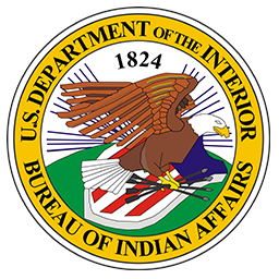 Flag Representing Native American Tribal Authorities